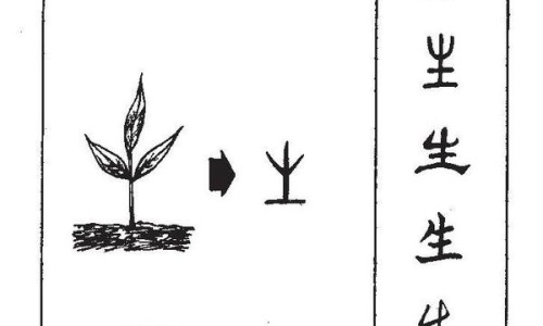 阿伐他汀片的正确吃法-阿伐他汀钙分散片-阿伐他汀的用法与用量,中国阿伐他汀分散片说明书网站